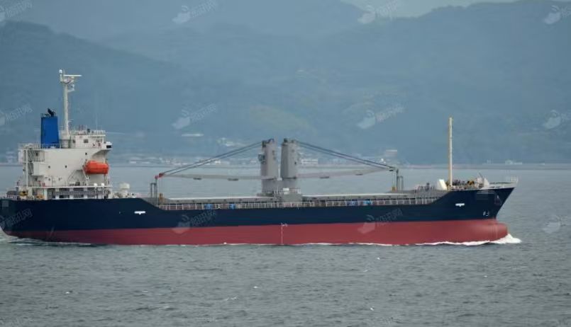 2012年-11000吨-散货船-带吊